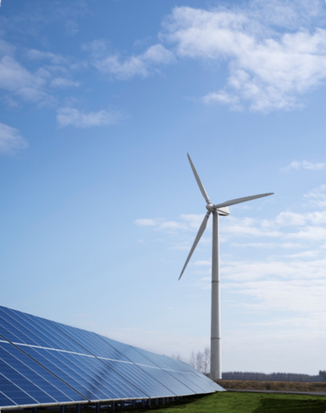 Innovación sostenibilidad